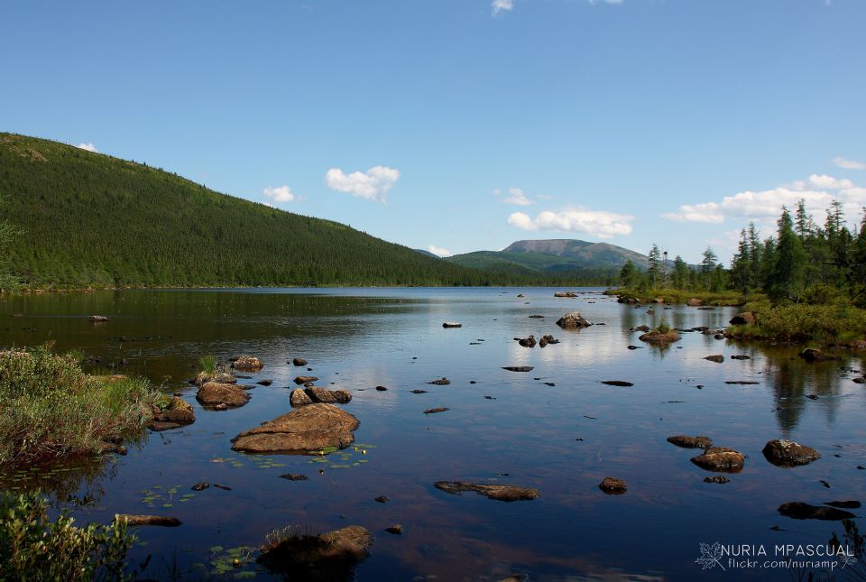 Gaspesie - Nuria Mpascual