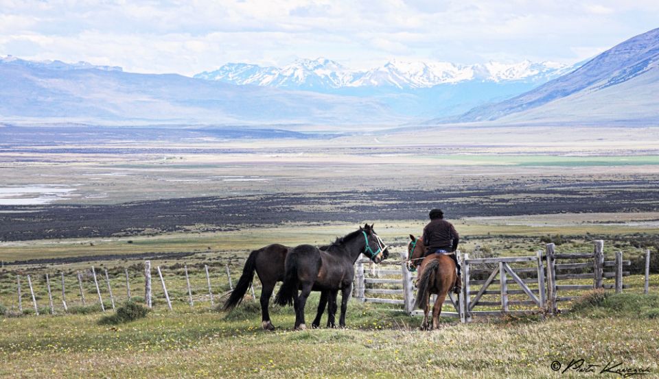 Patagonie-torres-del-Paine-W-5