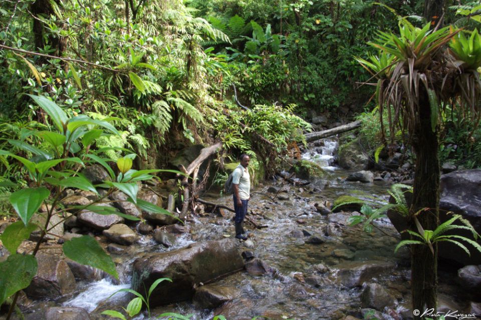waitukubuli national trail dominique