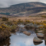 Sorties outdoor dans les montagnes de Wicklow