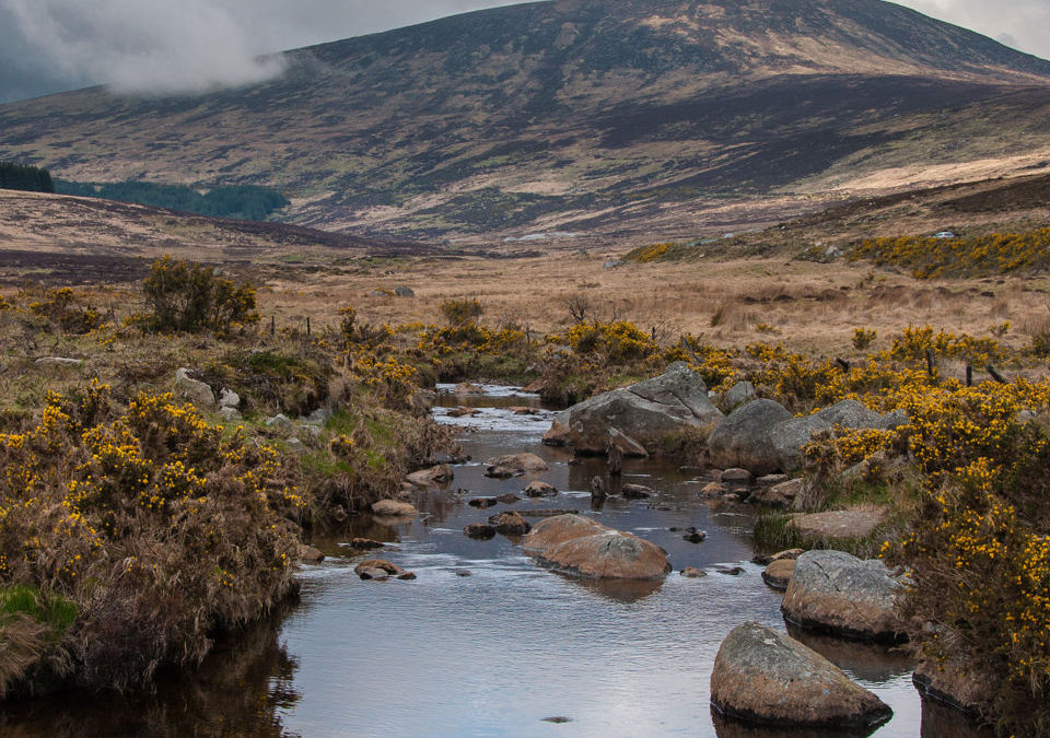 Sorties outdoor dans les montagnes de Wicklow